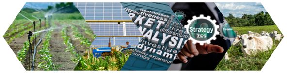 Corsi Formazione Consulenti PSN PAC 3