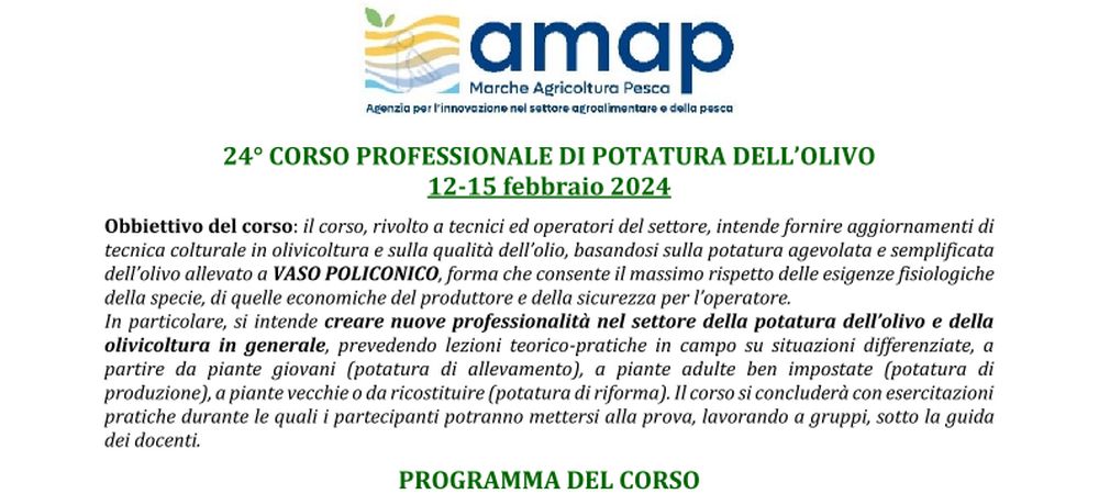 24° Corso professionale di potatura dell'olivo (12/02/2024)