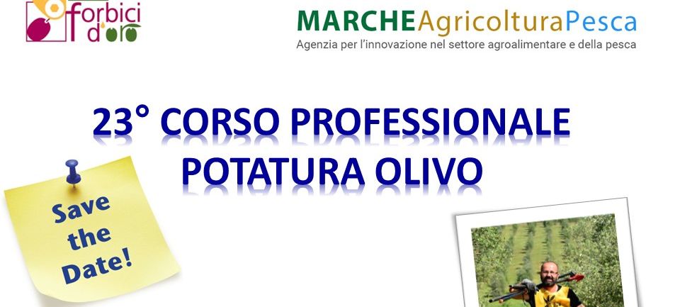 23° Corso professionale di potatura dell'olivo (20/03/2023)