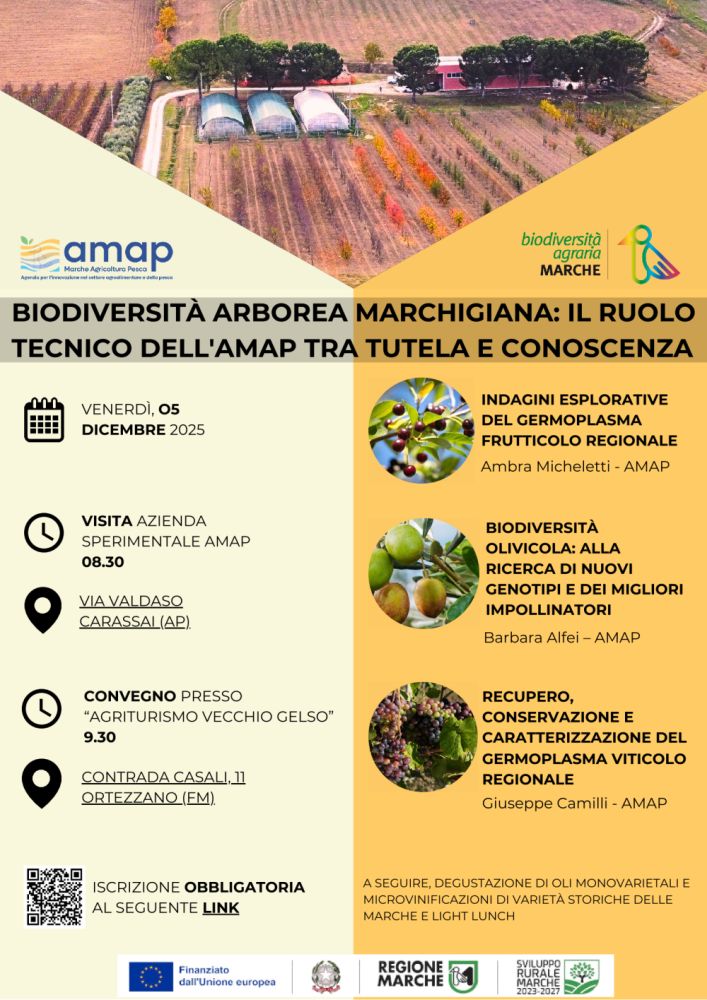 Immagine Locandina dell