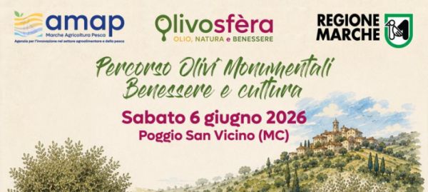06/06/2026: Percorso Olivi Monumentali - Benessere e cultura