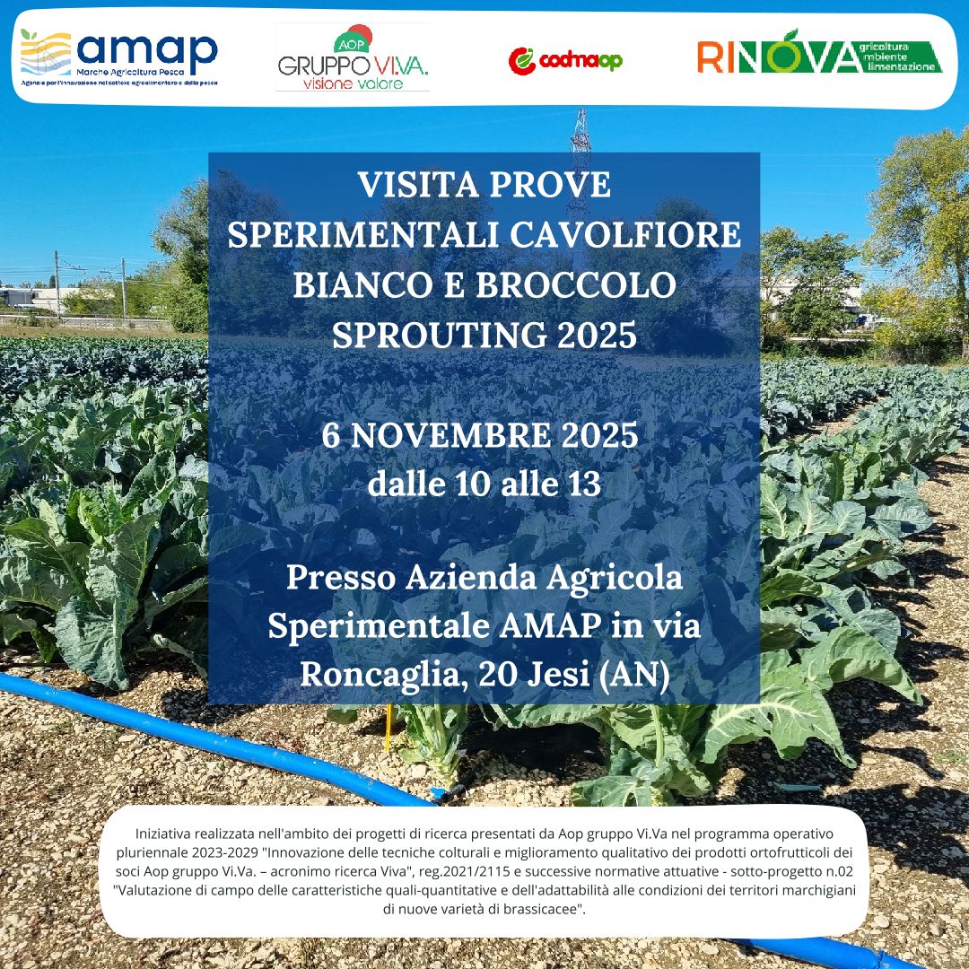 Immagine Locandina dell