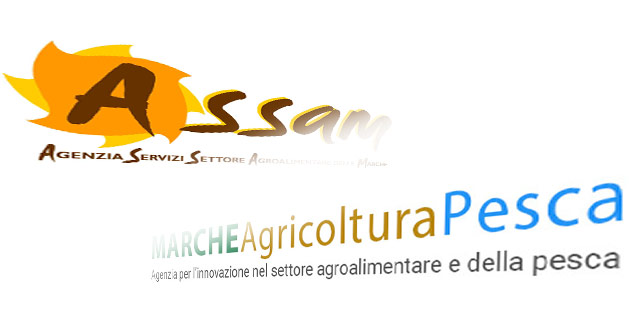 Con Legge Regionale 12/05/2022 n.11, l'Agenzia regionale per i servizi nel settore agroalimentare delle Marche (ASSAM) è stata trasformata in ente pubblico non economico denominato: Agenzia per l’Innovazione nel Settore Agroalimentare e della Pesca