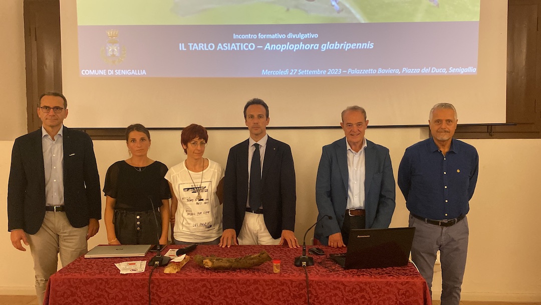 Immagine dei relatori e autorità del convegno sul tarlo asiatico