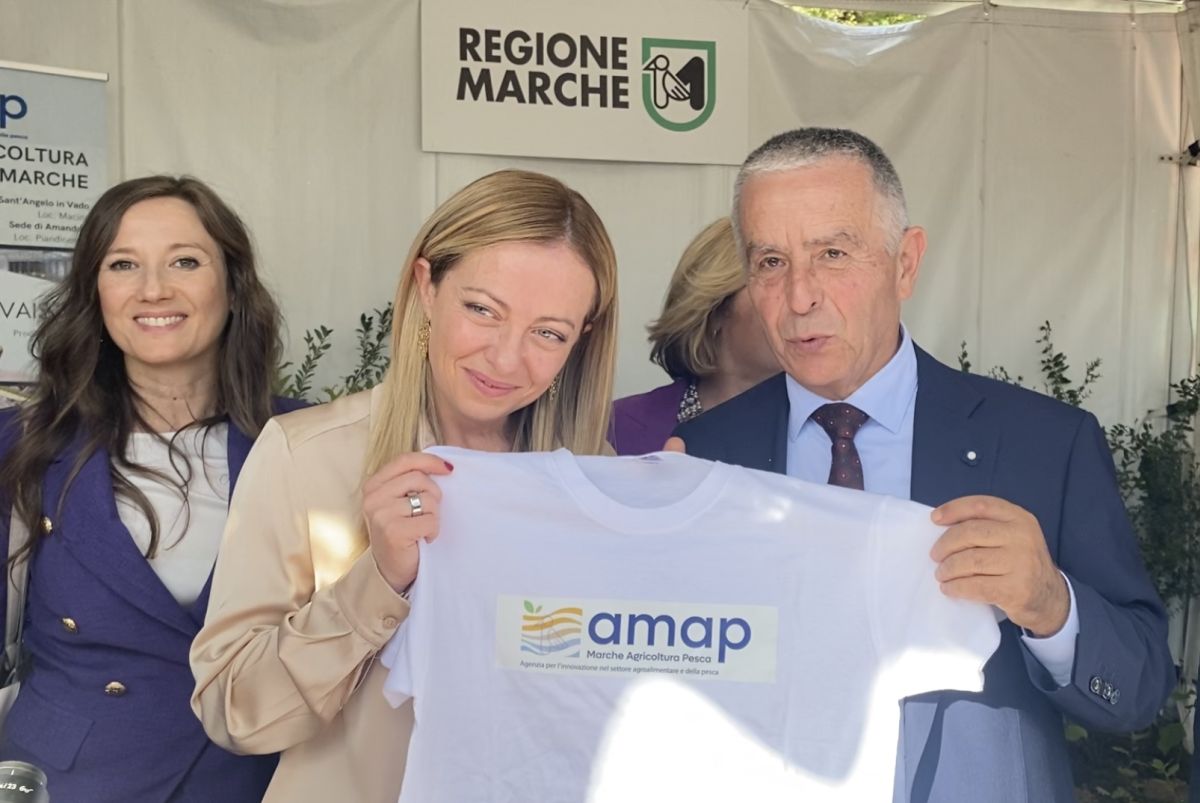 Immagine con ritratti il presidente del consiglio Giorgia Meloni e il vicepresidente AMAP Frontini che presentano la maglietta AMAP