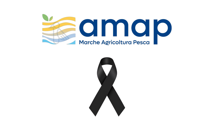 AMAP in lutto