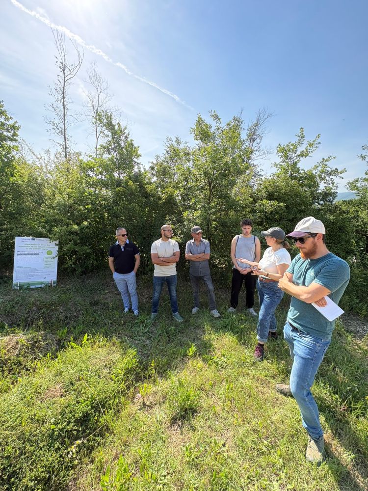 AMAP presenta il progetto AINATURE e le attività svolte nell’area pilota durante l’avvio della visita al sito sperimentale di Apiro (MC). L'immagine ritrae i tecnici AMAP mentre presentano il progetto AINATURE e le attività svolte nell’area pilota del sito sperimentale di Apiro (MC).