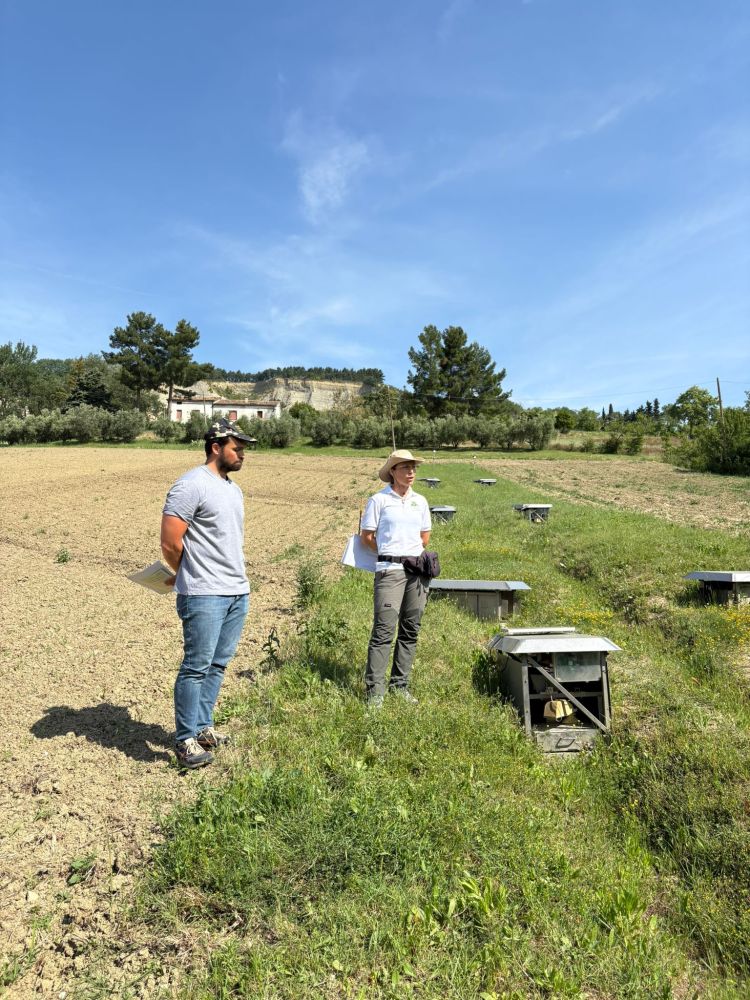 I ricercatori illustrano le attività e le caratteristiche del sito sperimentale LOV ai partecipanti, all’inizio della visita presso l’area pilota AMAP del progetto AINATURE L'immagine ritrae i ricercatori mentre illustrano le attività e le caratteristiche del sito sperimentale LOV ai partecipanti
