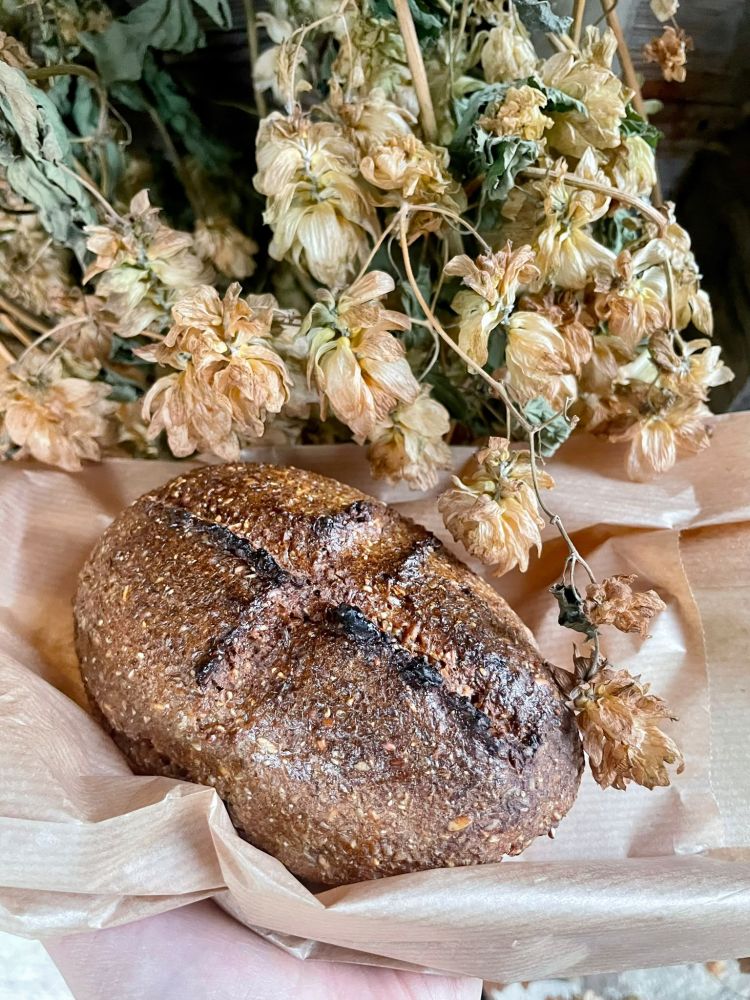 Pane e luppolo L'immagine ritrae una forma di pane tipico e delle piante di luppolo