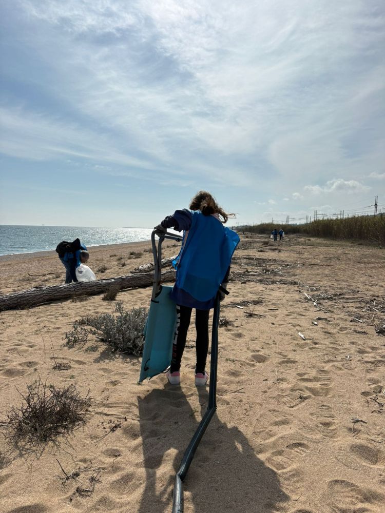 Volontaria impegnata nella pulizia della spiaggia. L'immagine ritrae una volontaria impegnata nella pulizia della spiaggia.