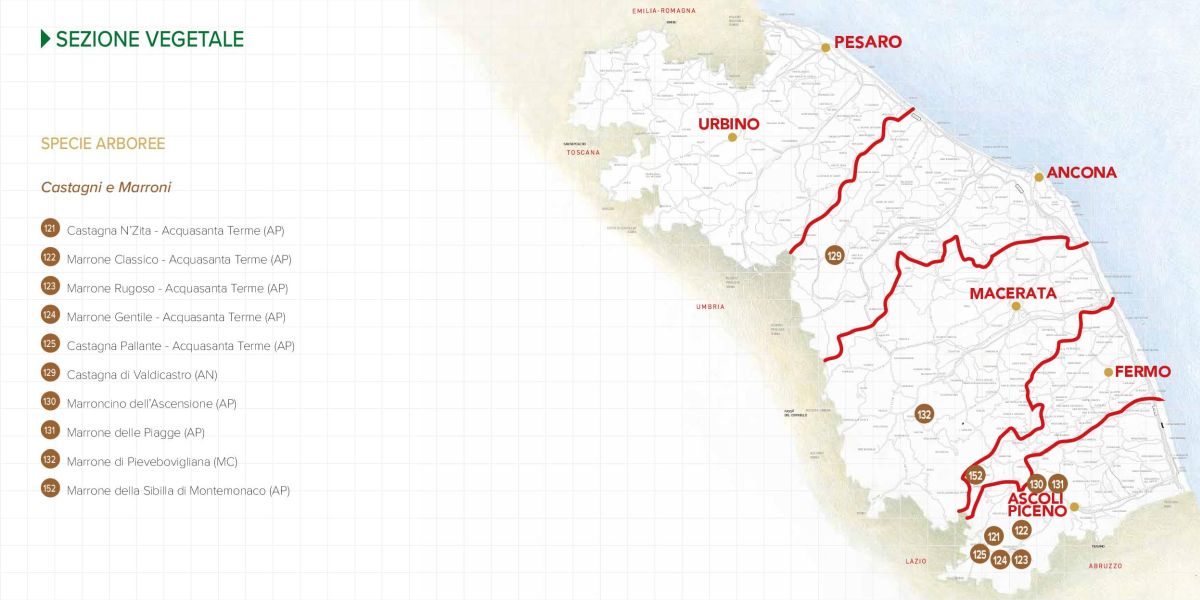Immagine della mappa delle specie di Castagne e Marroni