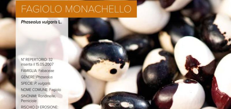 032. Fagiolo Monachello