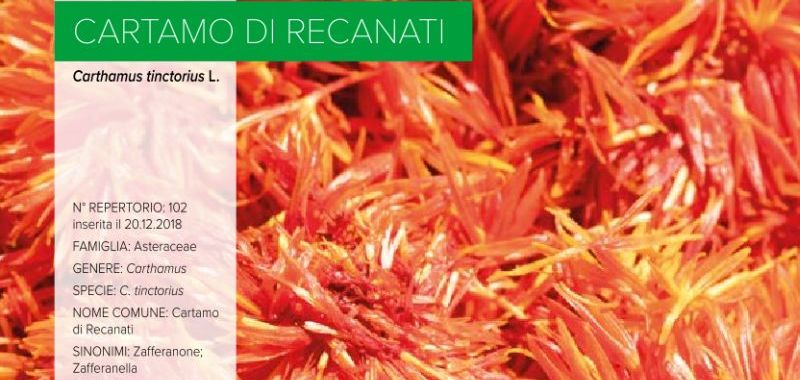 102. Cartamo di Recanati
