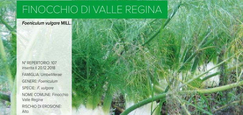 107. Finocchio Valle Regina