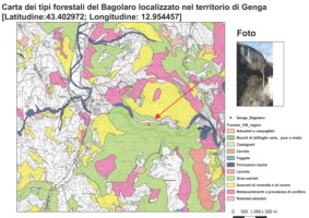 MinCarta For Bagolaro di Genga