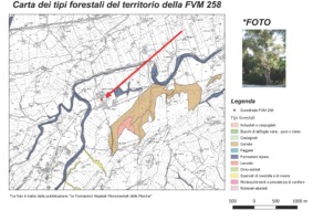 Min carta for sugherafvm258