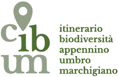 logo cibum