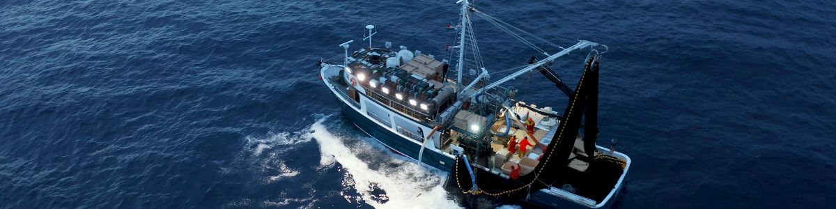 progetti eu banner 3Efishing