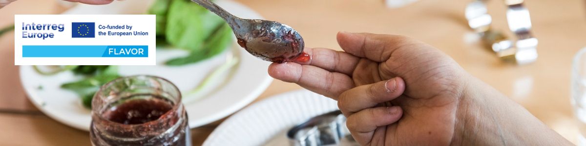 progetti eu banner Flavor