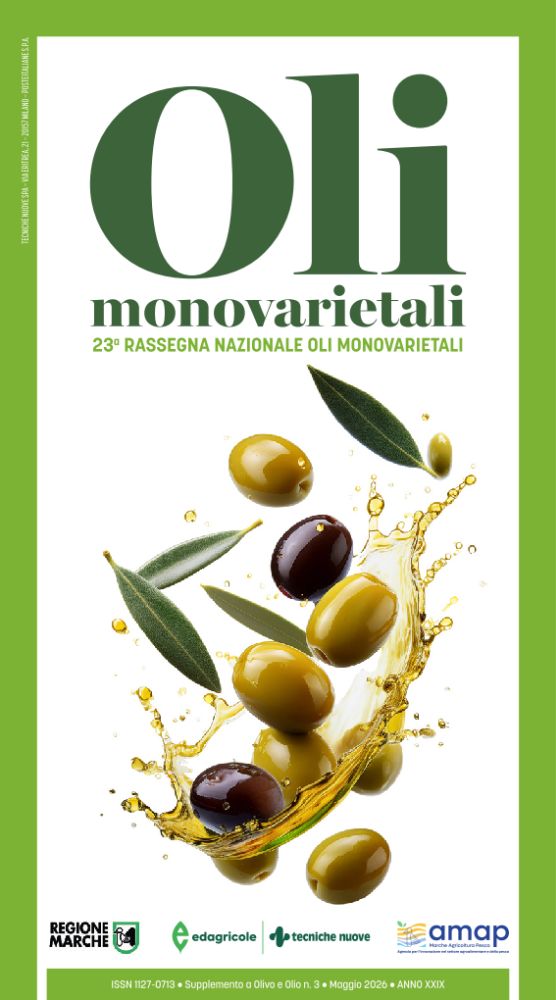 Immagine della coperetina del catalogo