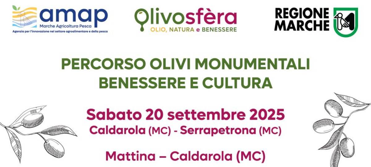 20/09/2025: Percorso Olivi Monumentali - Benessere e Cultura