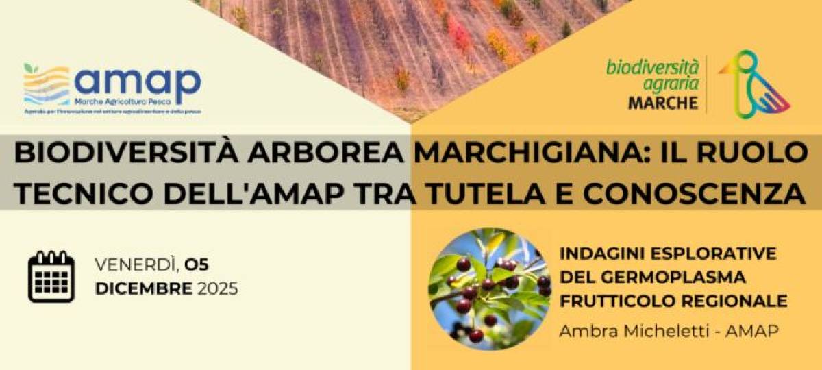 05/12/2025: Biodiversità arborea marchigiana: Il ruolo tecnico dell'AMAP tra tutela e conoscenza