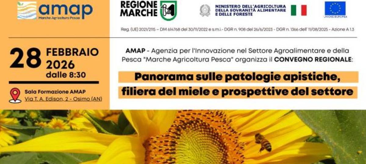 28/02/2026: Panorama sulle patologie apistiche, filiera del miele e prospettive del settore