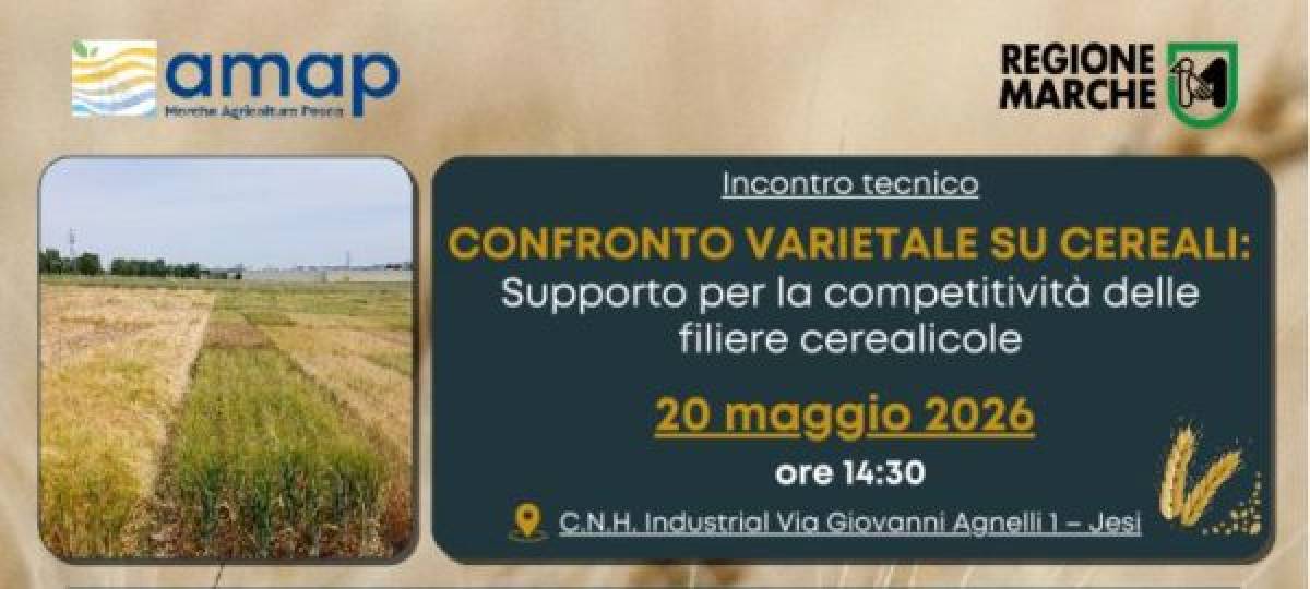 20/05/2026: Confronto varietale su cereali
