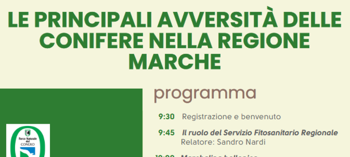 02/07/2026: Incontro tecnico sulle principali avversità delle conifere nella Regione Marche