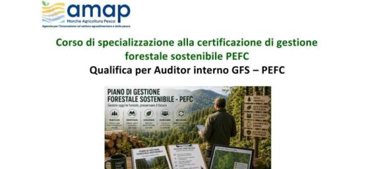 28/10/2026: Corso di specializzazione alla certificazione di gestione forestale sostenibile PEFC - Qualifica per Auditor interno GFS – PEFC