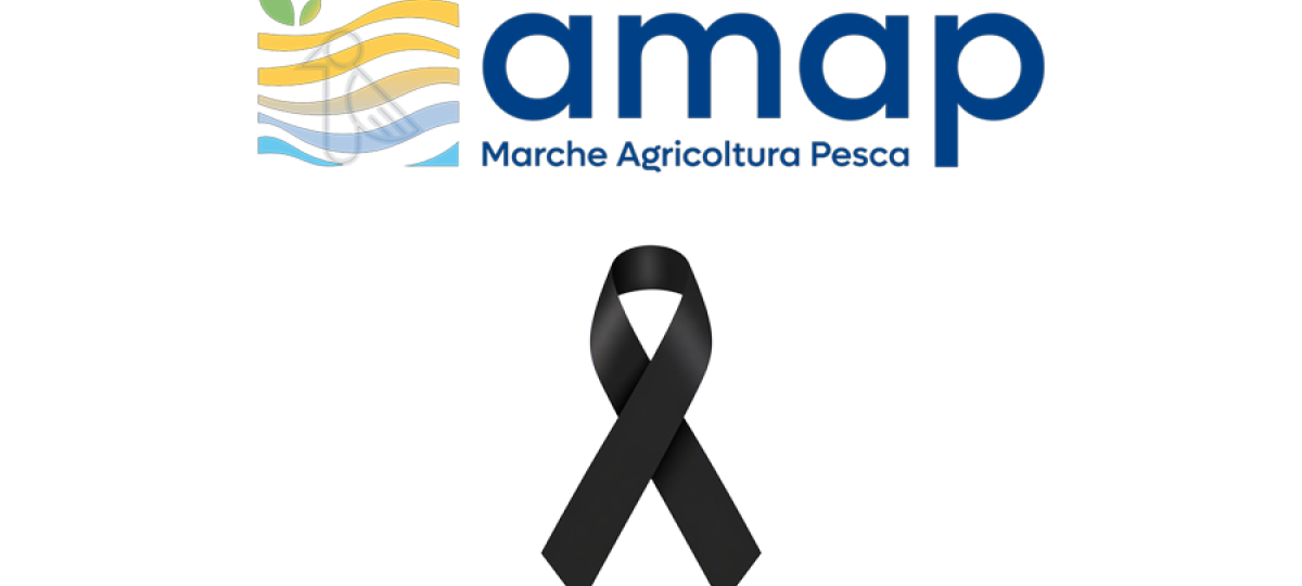 AMAP e le Marche piangono Fausto Ricci, protagonista dello sviluppo agroalimentare regionale
